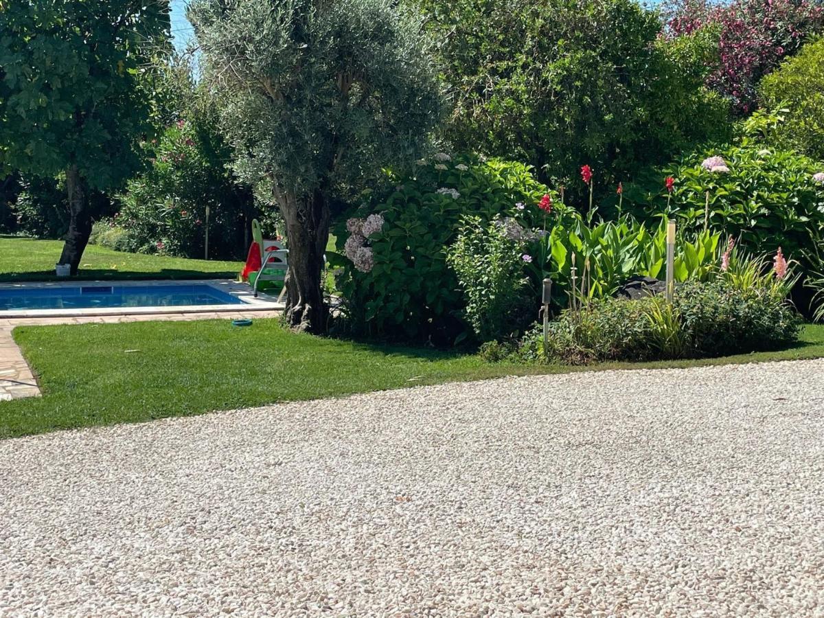 Farmhouse In Montemor O Novo With Swimming Pool Exteriör bild